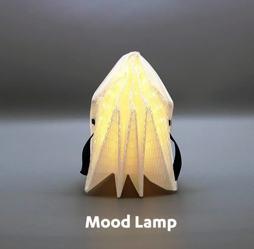 Solar-Powered Light   Power Bank: Solar QWNN