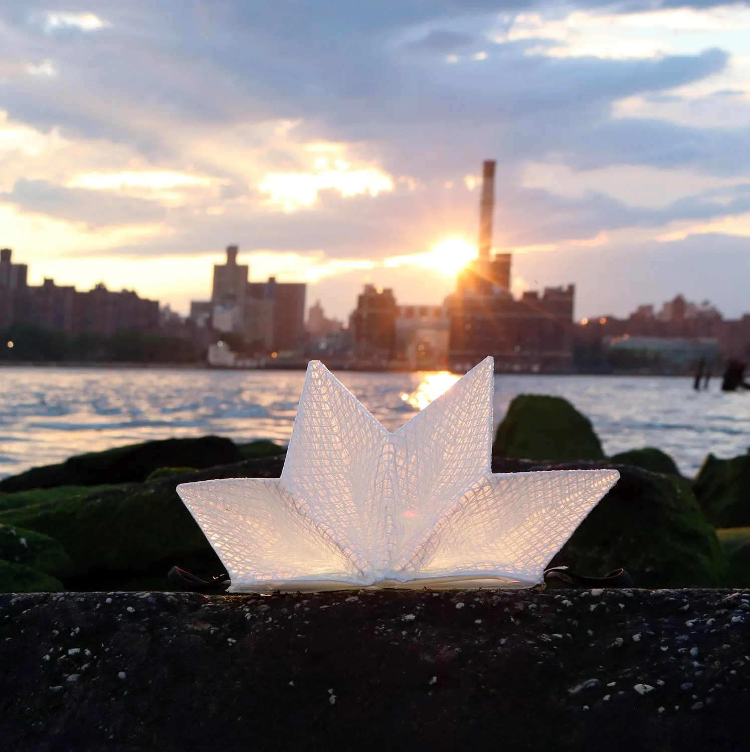 Solar-Powered Light   Power Bank: Solar QWNN